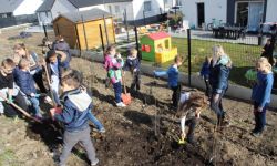 Plantations Cavalier   040